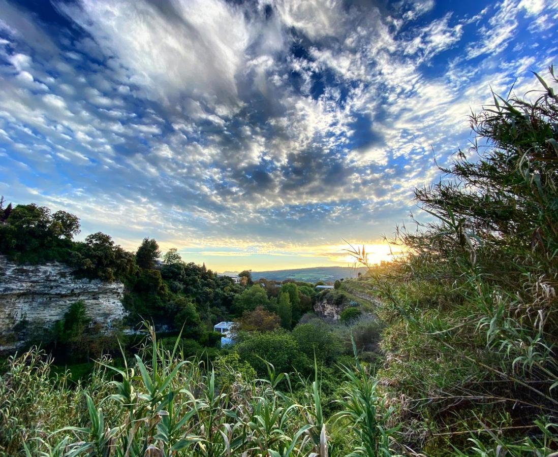 Villa Ignacia B&B - Naturaleza Entre Ronda Y Setenil Arriate Exterior photo